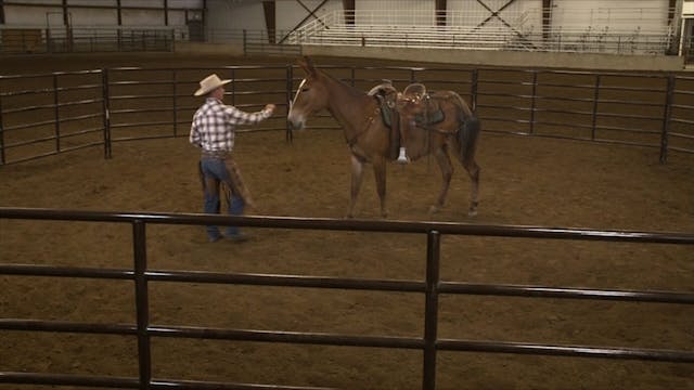 Colt Starting The First Ride- Full Le...