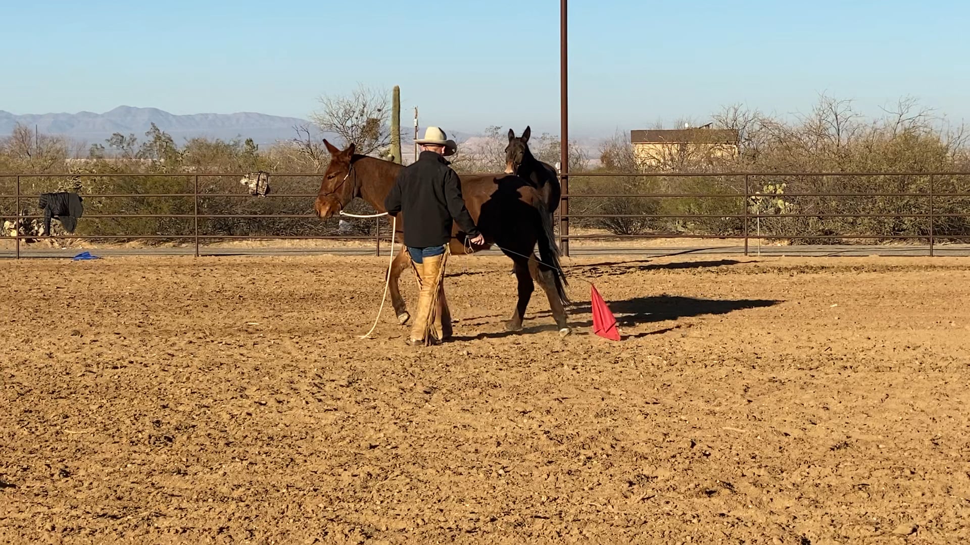 Groundwork Demo in Sahuarita, AZ Clinic 2021