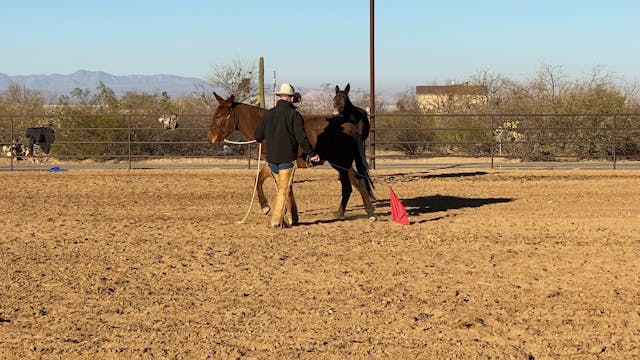 Groundwork Demo in Sahuarita, AZ Clin...