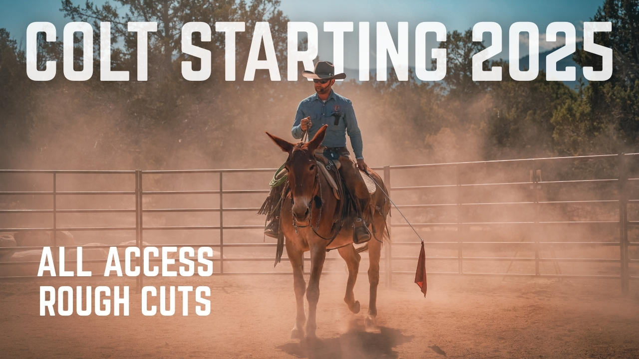 2025 Colt Starting Clinic (All-Access Rough Cuts)