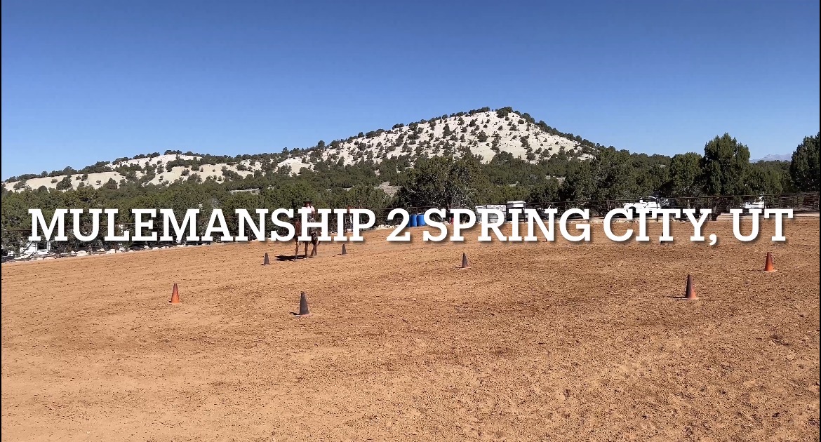 2026 Spring City UT Mulemanship 2