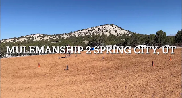 2026 Spring City UT Mulemanship 2