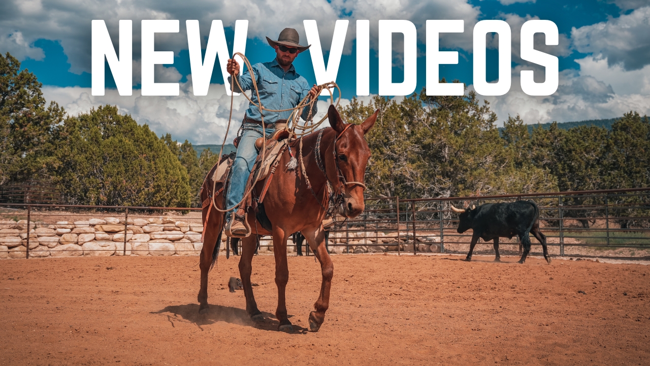 Latest Video Releases!