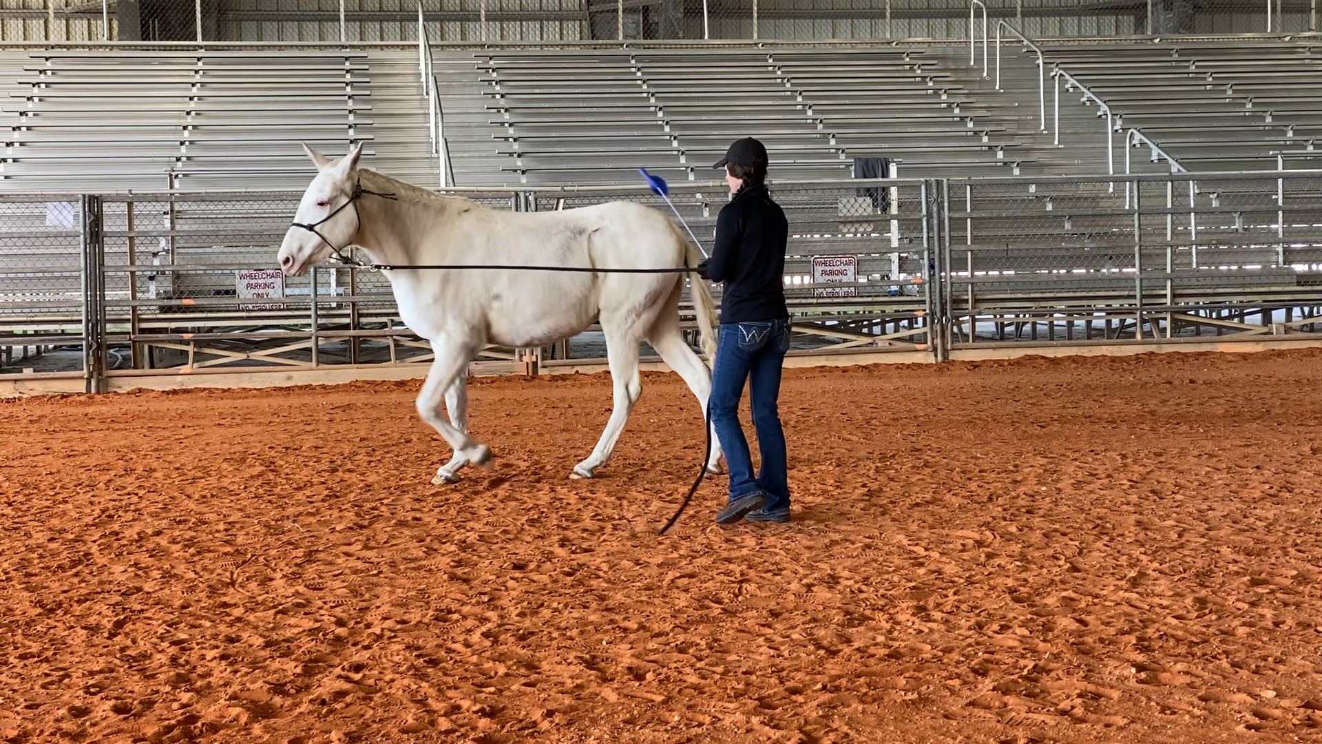 Suggestions on Keeping The Nose Tipped in For Groundwork 