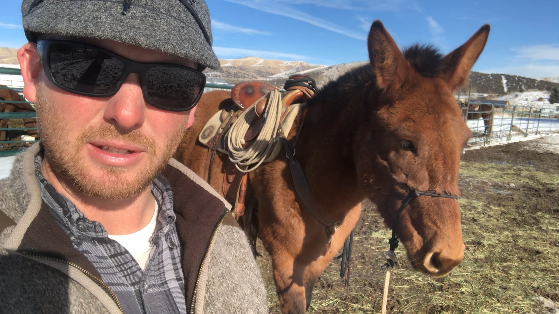 Quantity Doesn’t Make Up For Lack of Quality 