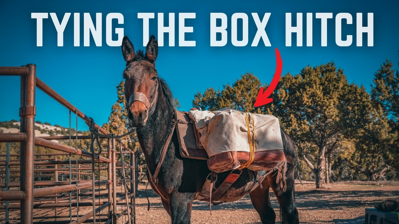 Tying The Box Hitch