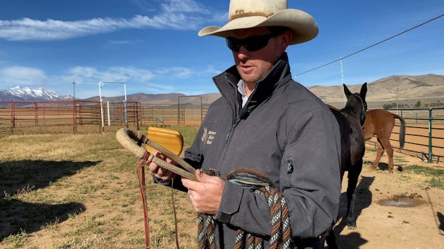 Shaping The Bosal