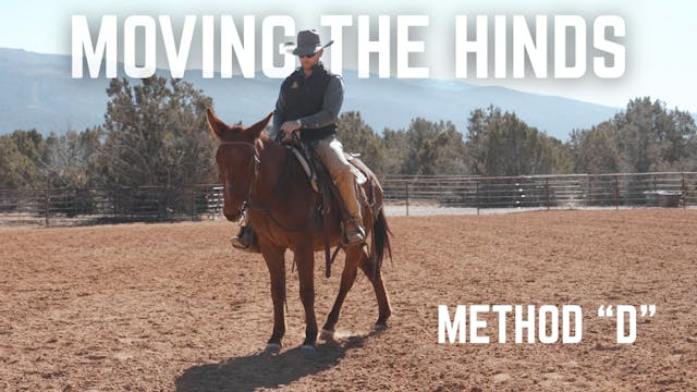 Method "D" Moving Hinds