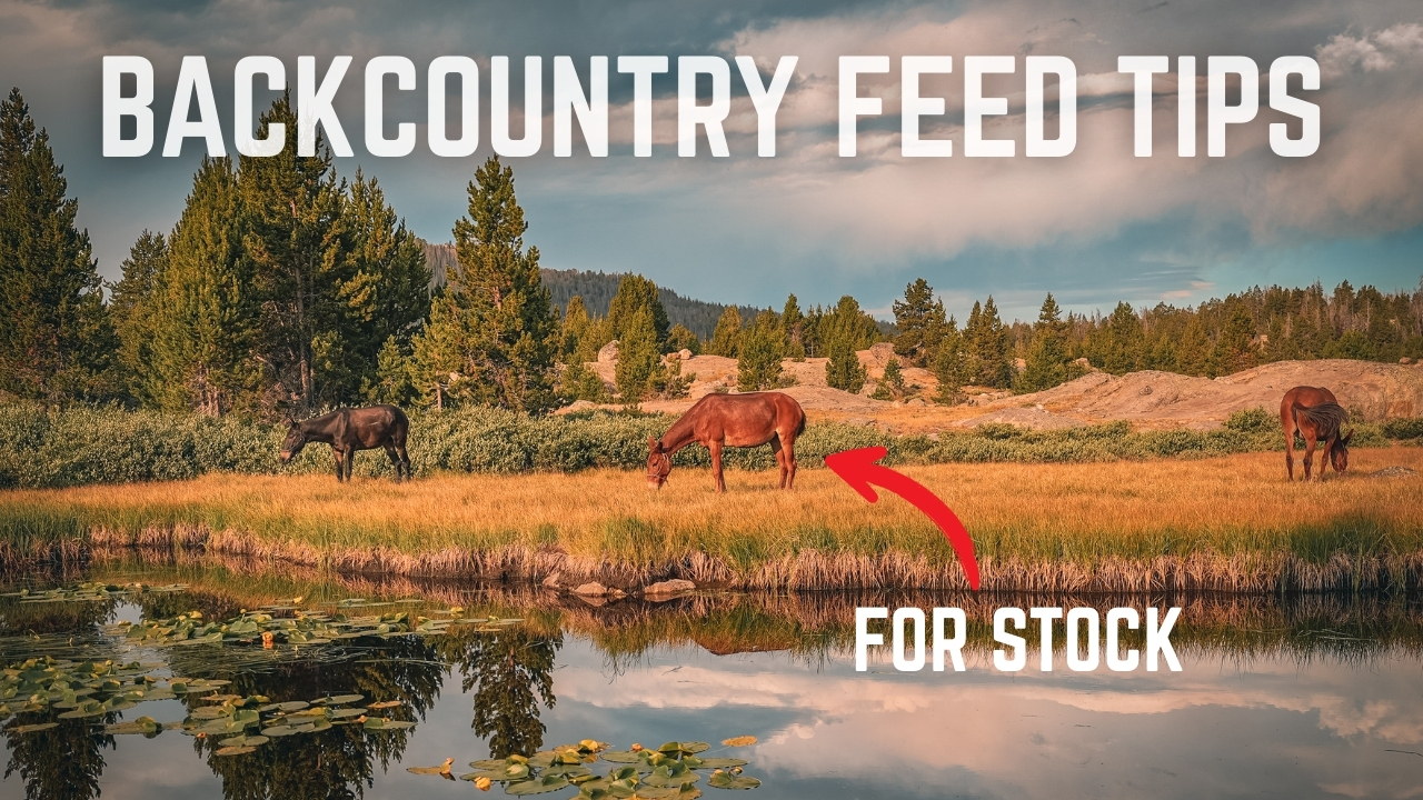 Feeding Stock In The Backcountry
