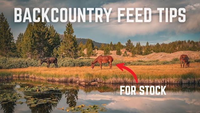 Feeding Stock In The Backcountry