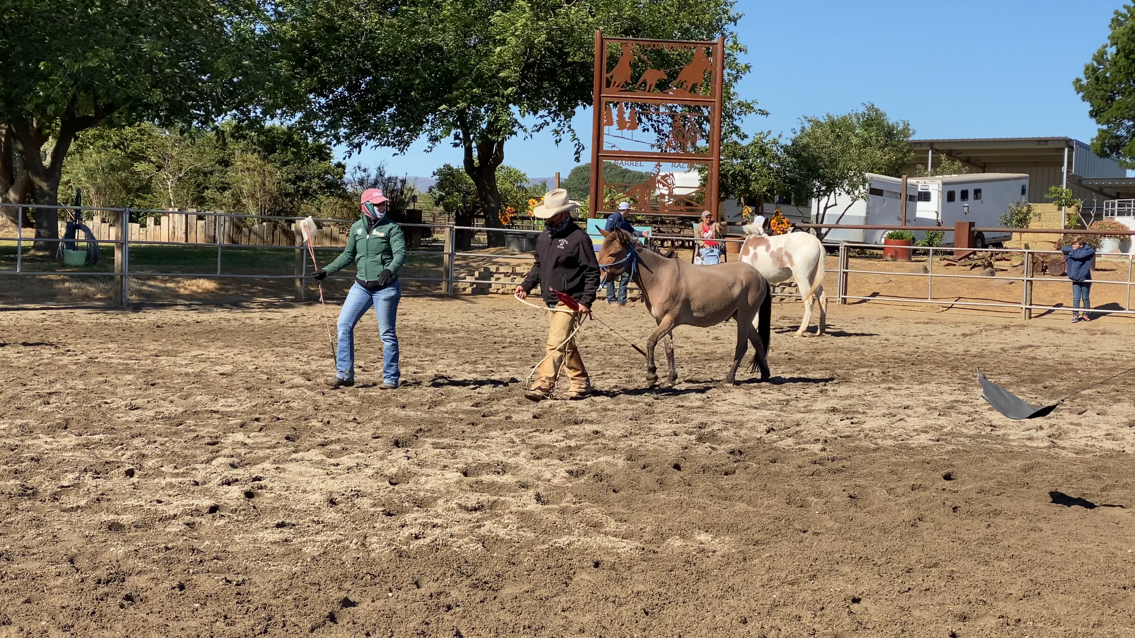 Ty works with a bolting mule in Dunnigan, CA
