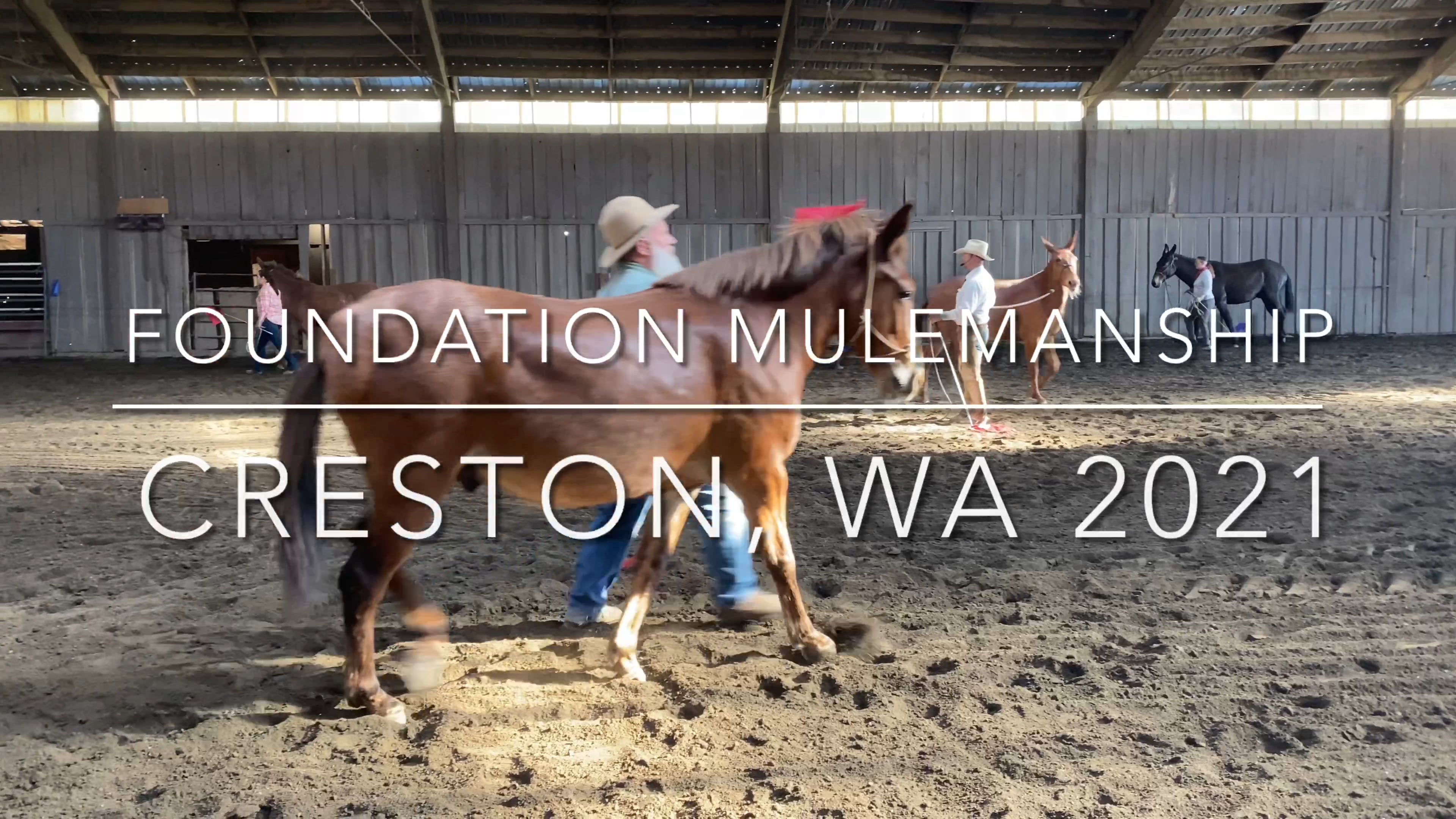 Foundation Mulemanship Creston, WA 2021