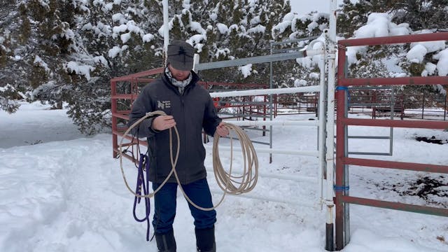 How To Catch A Scared Weanling “Spin”...