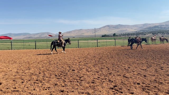 Colt Starting Day 3
