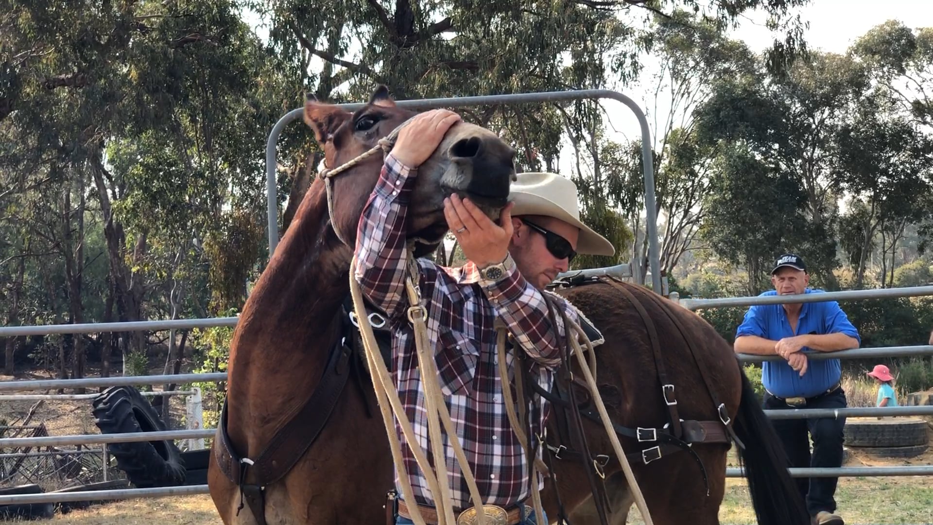 Bridling a Troubled Mule in Australia 