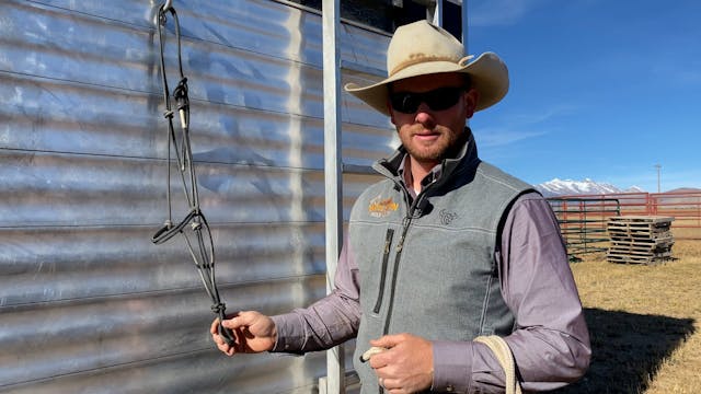 How To Tie A Lead To The Rope Halter