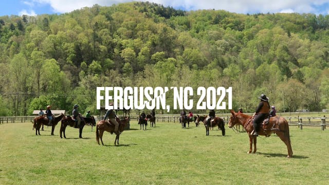 Ferguson, NC Mulemanship 1