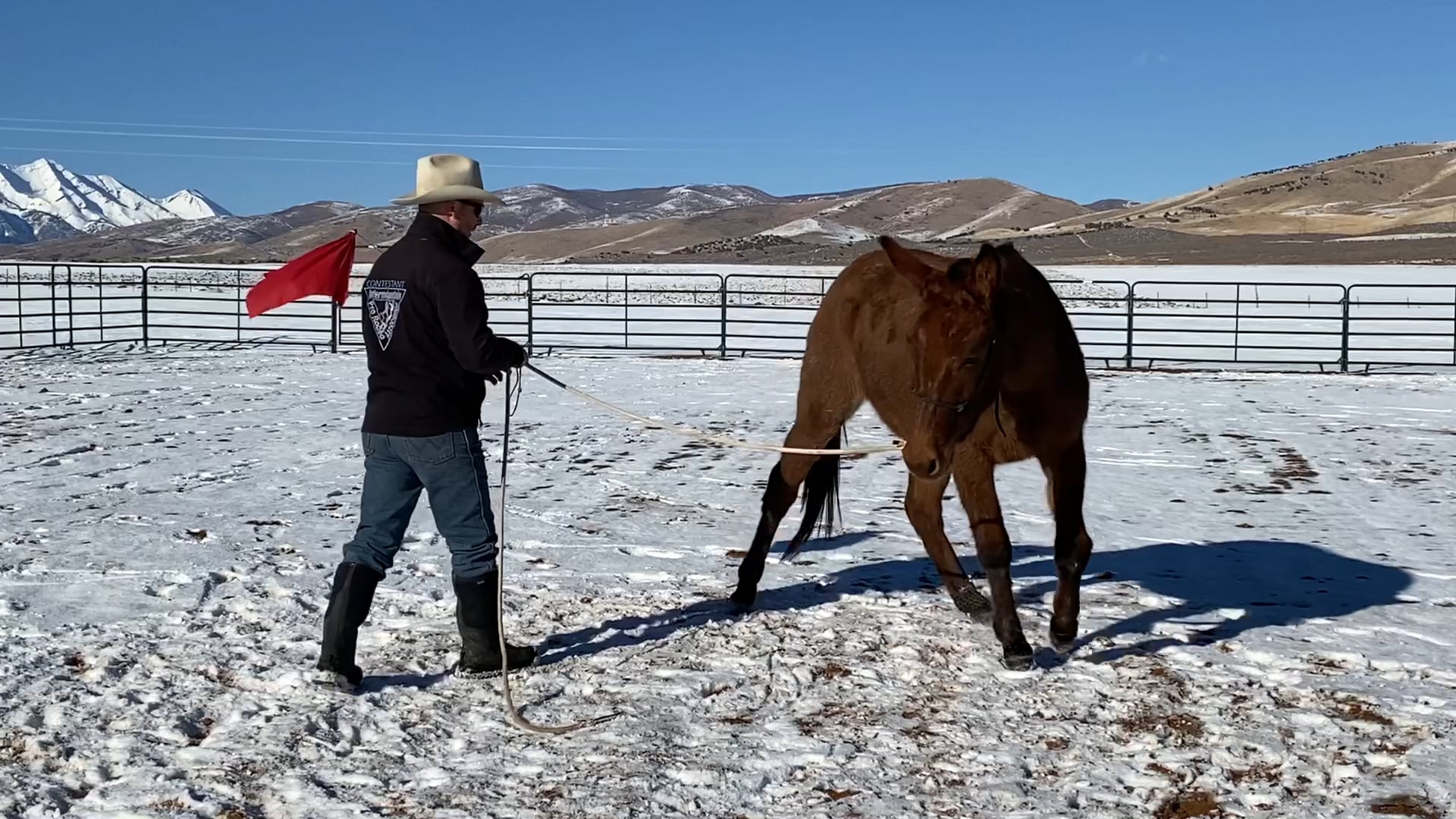 Week 4 Roll the Hinds/ Roll the Fronts