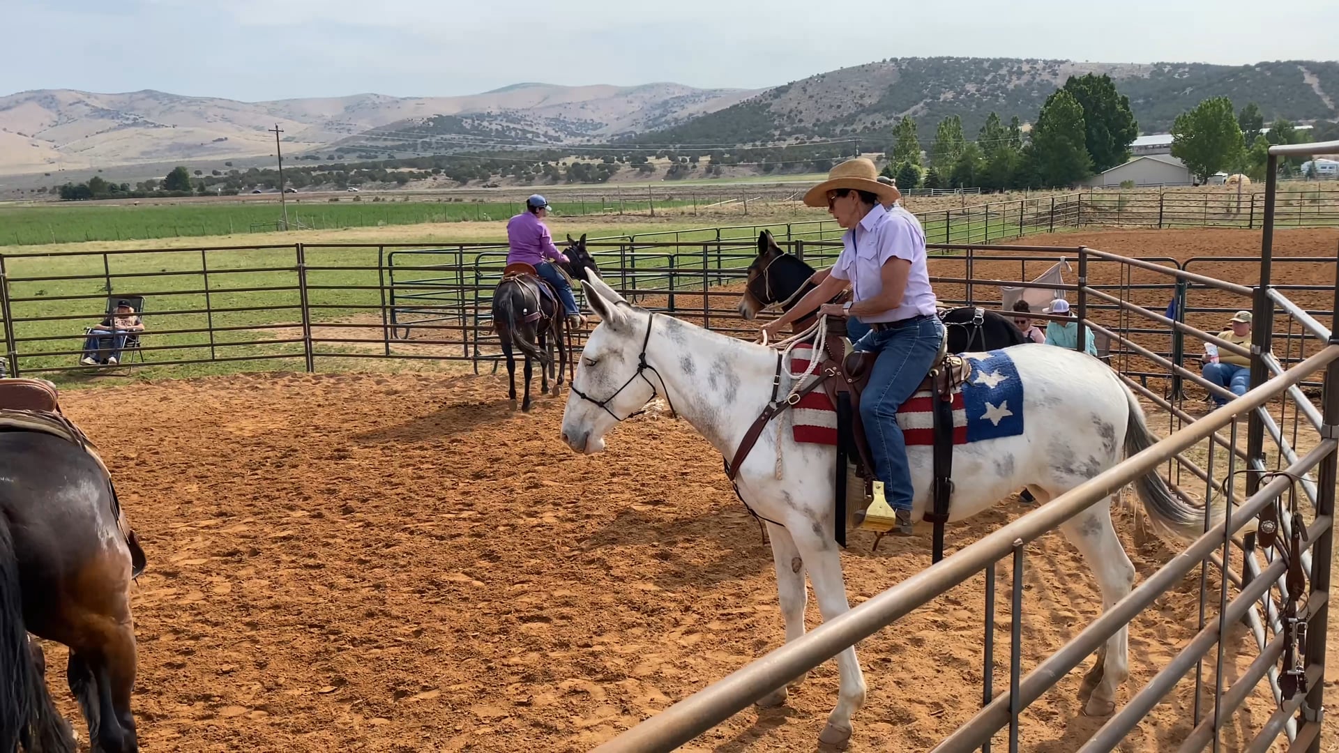 Colt Starting Day 2 Group 1