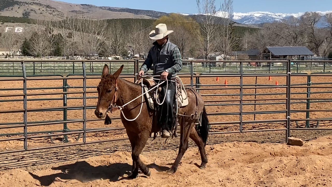 Ride 9 Ty Evans Mulemanship