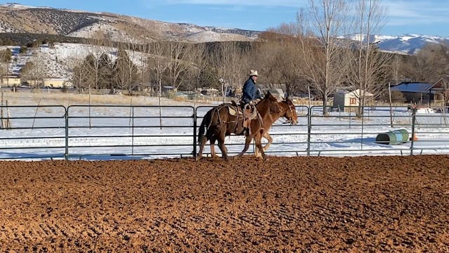 BONUS Transitions While Ponying