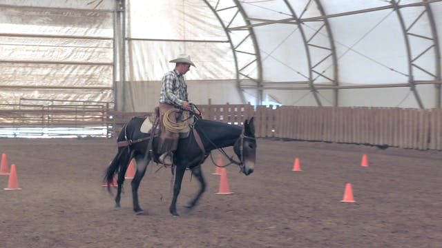 In the Saddle DVD 2 Part 6 "Using the...