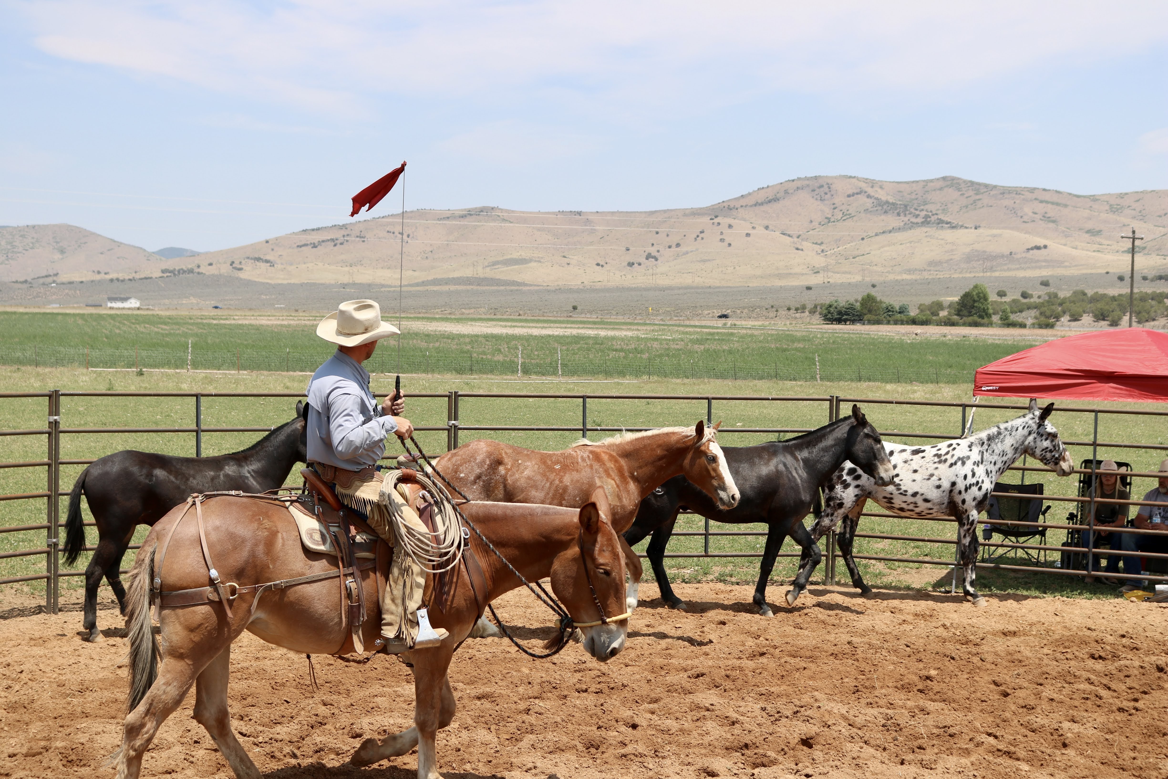 Ty Evans Colt Starting Clinic 2021