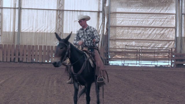 In the Saddle DVD 2 Part 4 "Introduci...