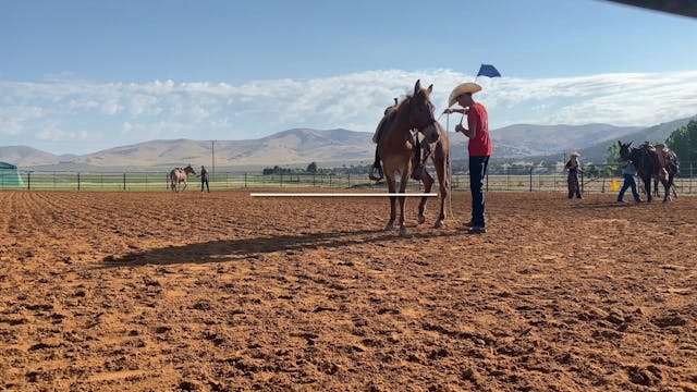Colt Starting Day 5