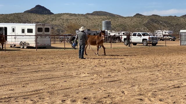 Groundwork Tips Wickenburg, AZ Clinic...