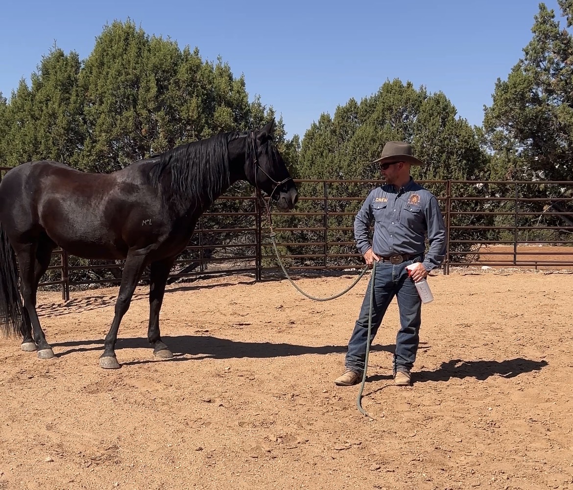 Part 2-Fly Spray & Coping Skills