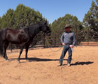 Part 2-Fly Spray & Coping Skills