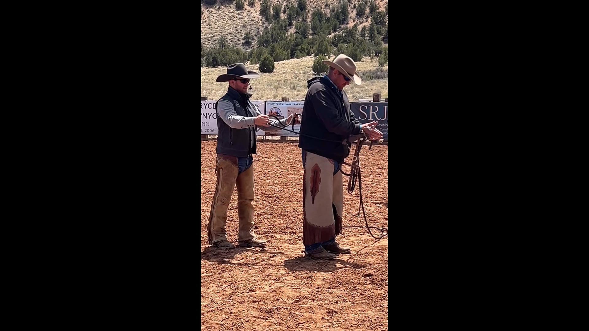 How to pick up on your reins