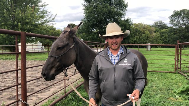 Deworming Tips with Mule “Foxy”