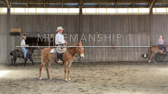 Mulemanship 1 Creston, WA 2021