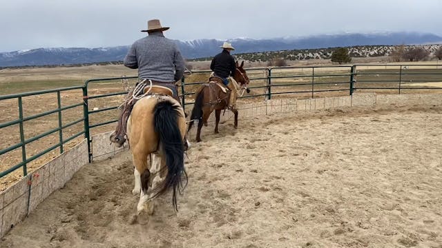 Dally’s Third Ride