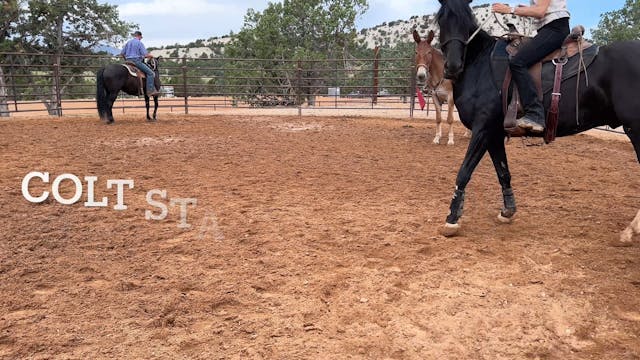 Day 2 CS 2024