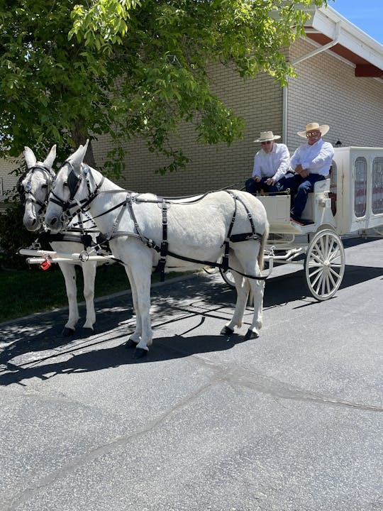 Driving Mules With Guest Jim Huggard 