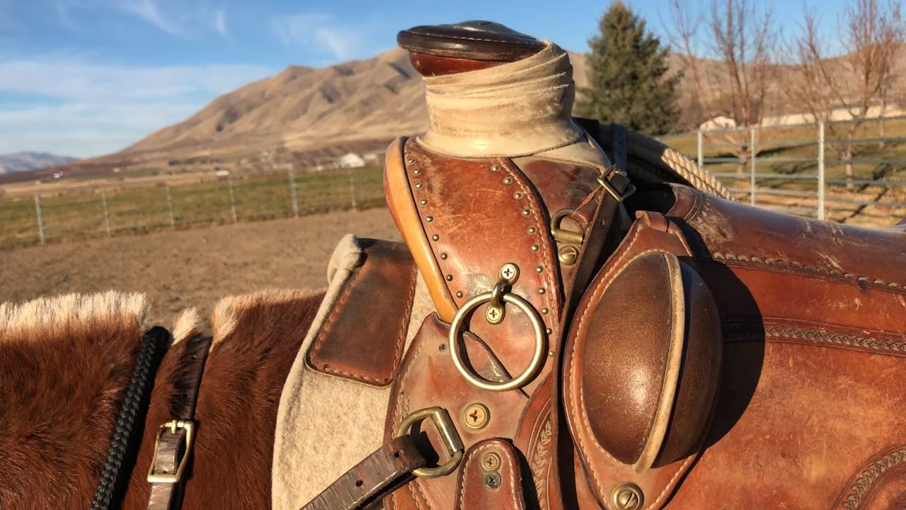 How to tie your lead rope to the saddle horn. Saddles & Tack Ty