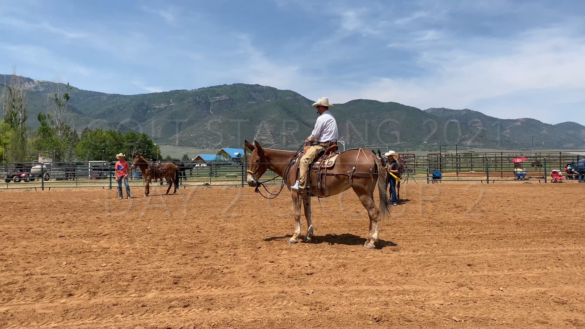 Colt Starting Day 2 Group 2