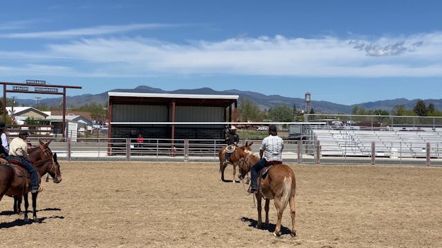 Mulemanship 1 Whitehall, MT 2021