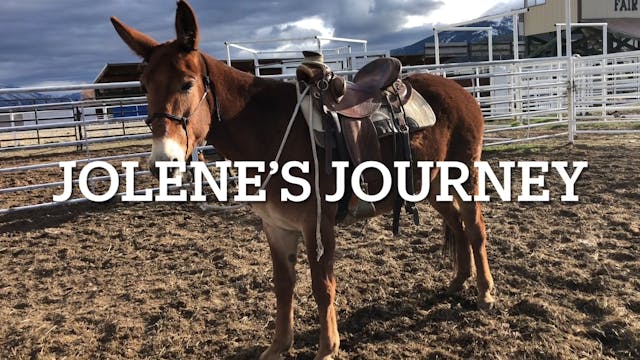 Jolene’s Journey 