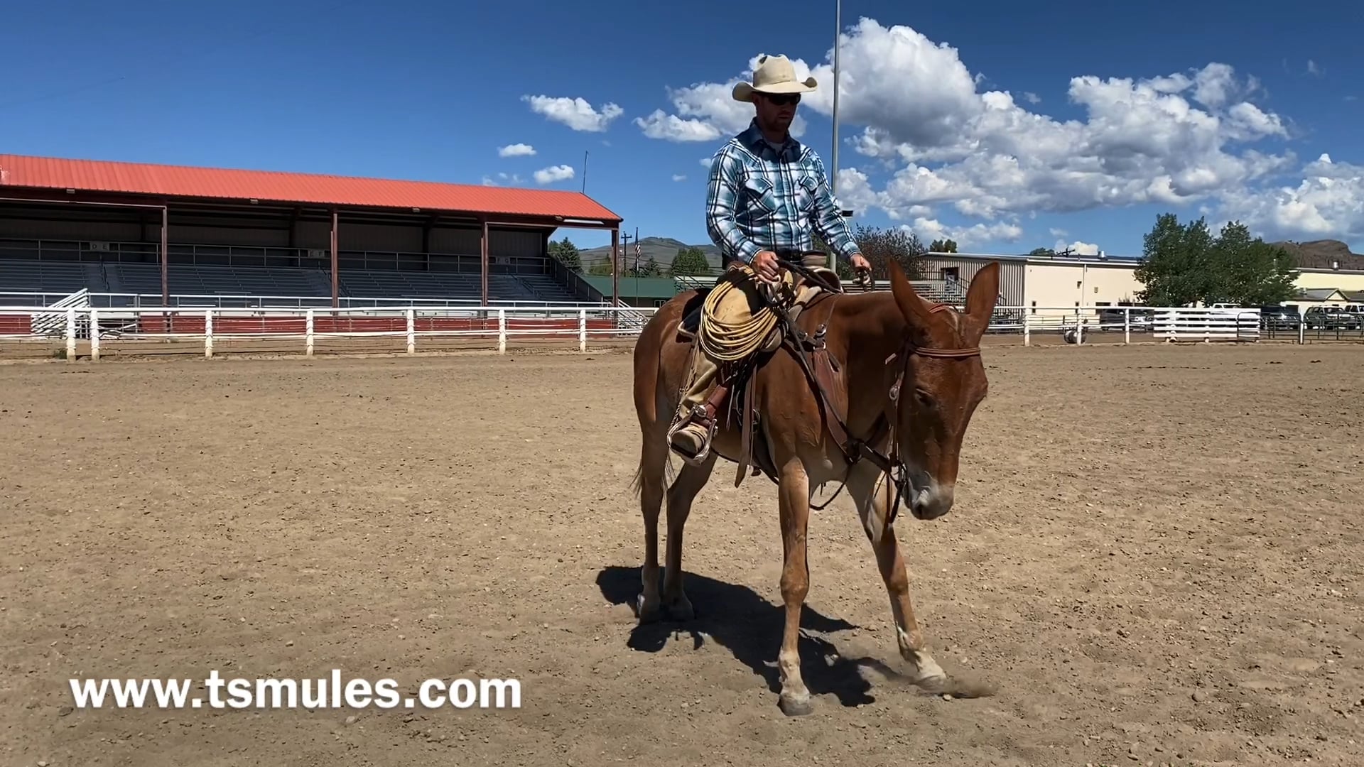 Everyday Mulemanship Challenge Week #27 “Side-Passing”