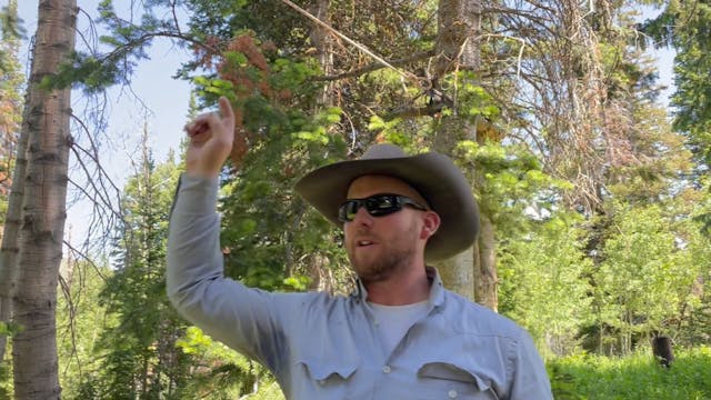 How To Put Up a Highline At Camp