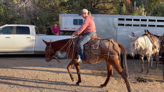 Skye FINALLY Rides Dally