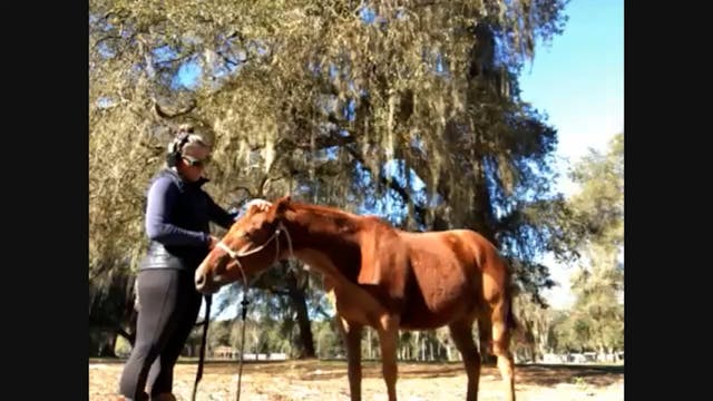 Natalie Garrett Virtual Clinic- Groun...