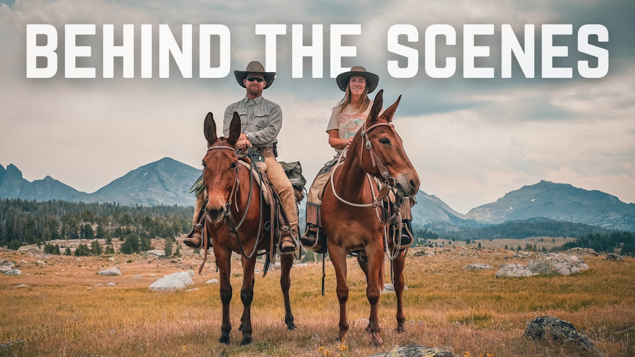 Who We Are: A Behind-The-Scenes Interview