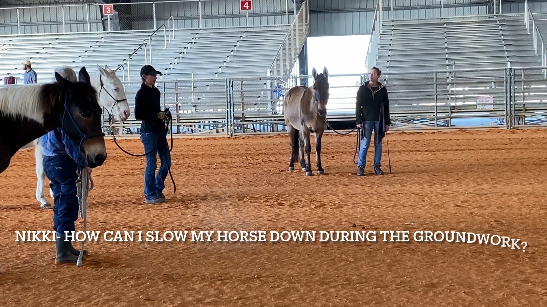 How can I slow my horse down during the groundwork?