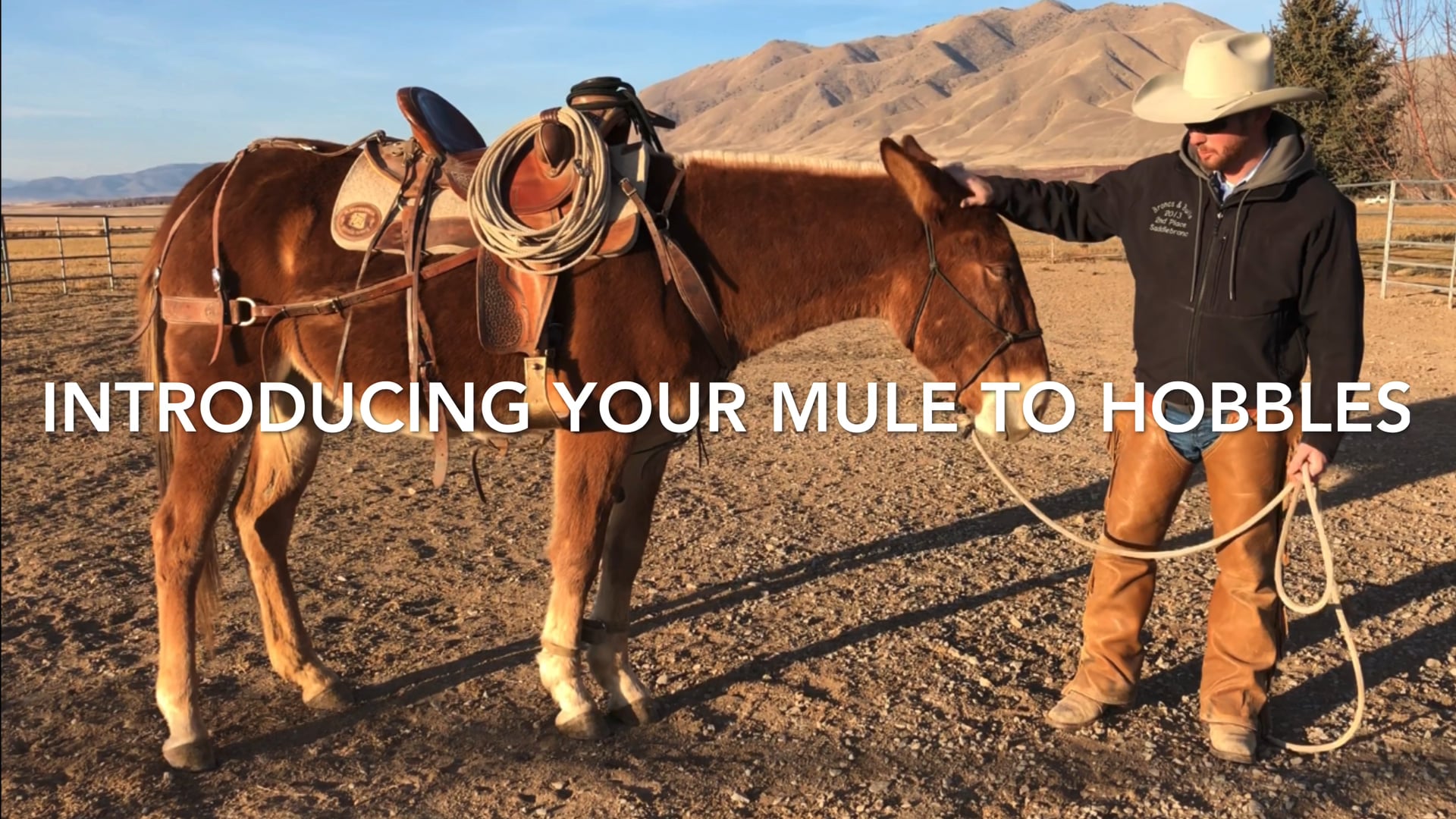 Introduction to Figure 8 Hobbles