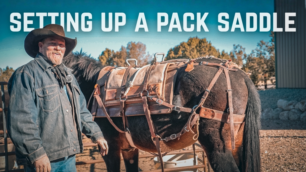 How To Set Up And Put On A Pack Saddle